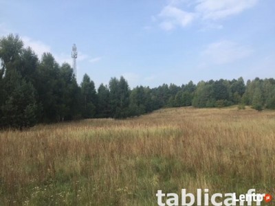 Działka budowlana Złoty Potok gmina Janów pow.7623m2