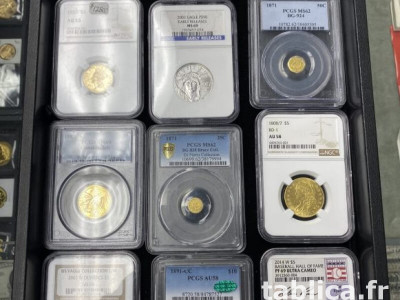 Buy certified Platinum bars, Coins, and Bullions at best rat