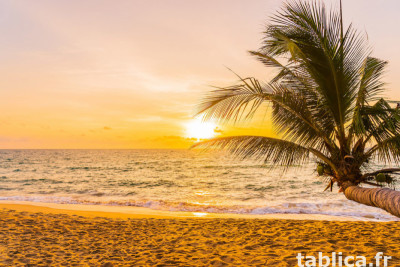 *Costa Blanca dla 2-osób… Palmy, Słońce, Plaża + Morze.