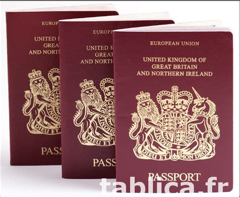 Buy European Driver’s License without a driving test 0
