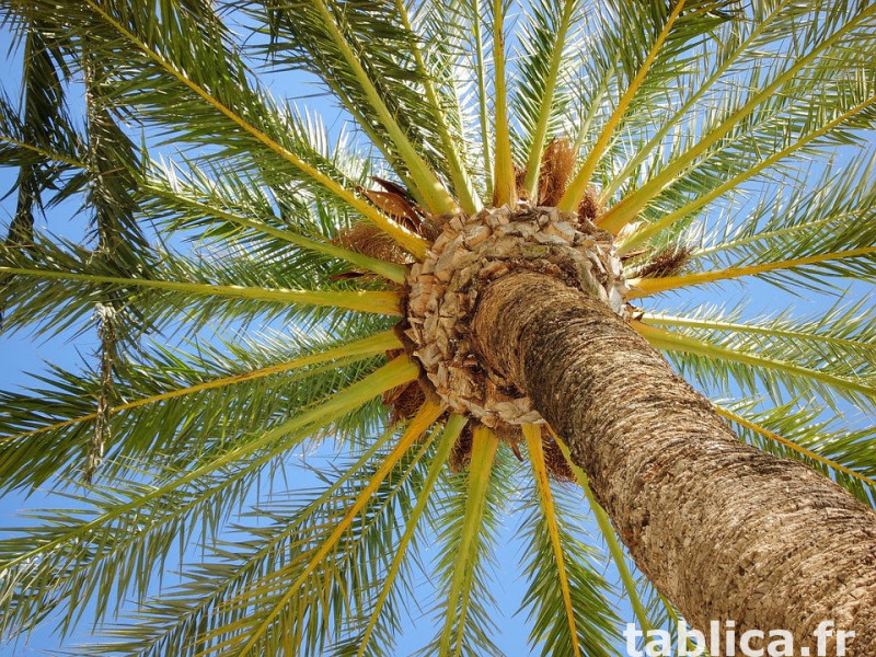 Słonce, błękitne Niebo + Plaża = Costa Blanca / Hiszpania. 3