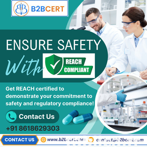 Why REACH Certification Services in San Antonio Is Critical  0